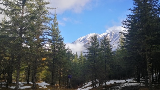 自然-风光-雪山-林海-蓝天 图片素材
