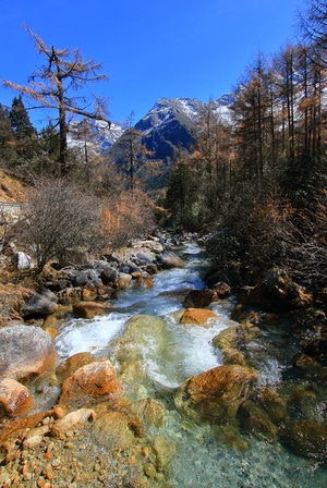 溪流-自然-画卷-生态-山涧 图片素材