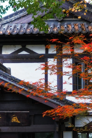 我的2019-风光-旅行-古建筑-屋檐 图片素材