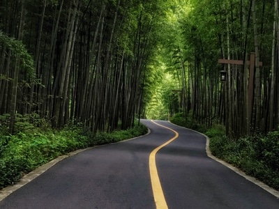 风光-去拍-手机摄影-道路-风景 图片素材