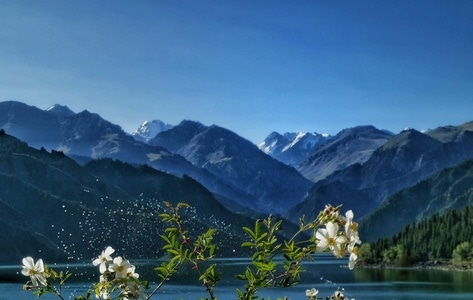 手机摄影-去拍-旅拍-风光-风景 图片素材