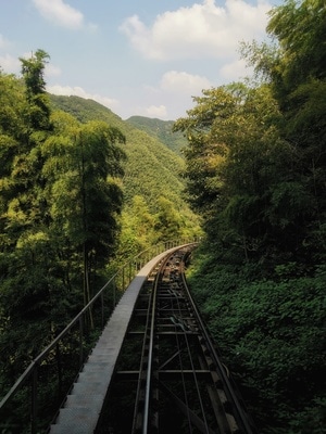 风光-去拍-手机摄影-道路-风景 图片素材