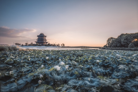 城市-5d4-旅行-风光-日落 图片素材