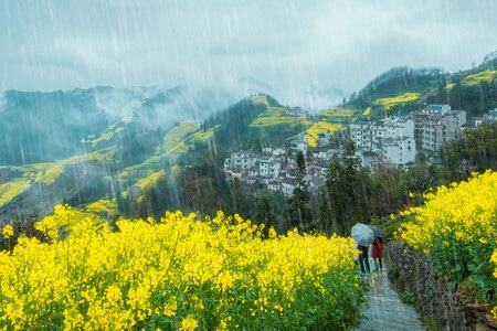 风光-风景-婺源-雾气-旅游 图片素材