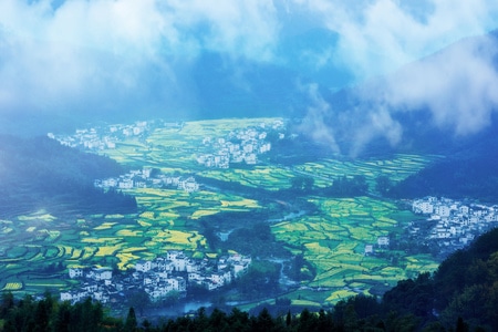 尘世烟火-旅游-雾气-油菜花-风光 图片素材