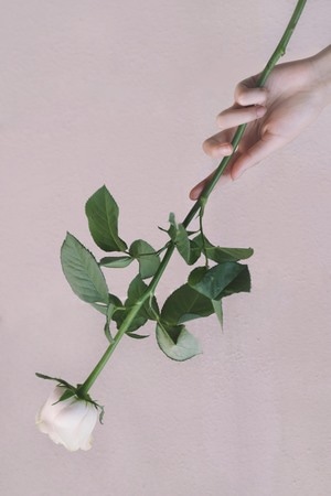情绪-约拍-人像-复古-花 图片素材