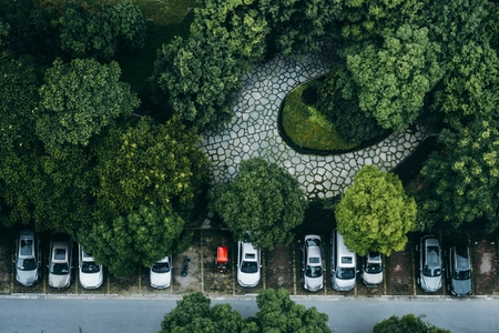 自然-植物-风景-汽车-红色 图片素材