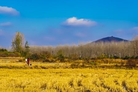 旅行-风光-风景-湖-南京 图片素材
