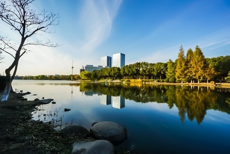 上海-夏阳湖-青浦-秋-自然 图片素材