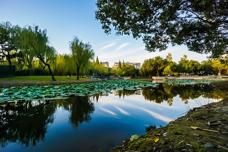 上海-夏阳湖-青浦-秋-自然 图片素材