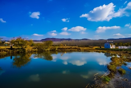 旅行-风光-风景-湖-南京 图片素材