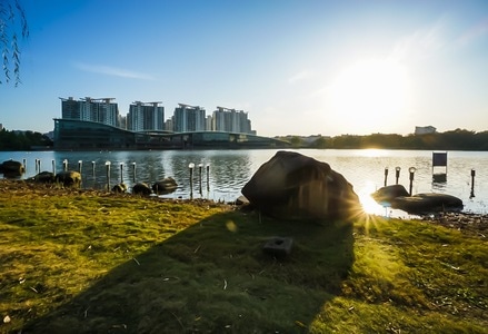 上海-夏阳湖-青浦-秋-自然 图片素材