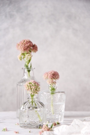 玻璃瓶-花-花瓶-花-花朵 图片素材