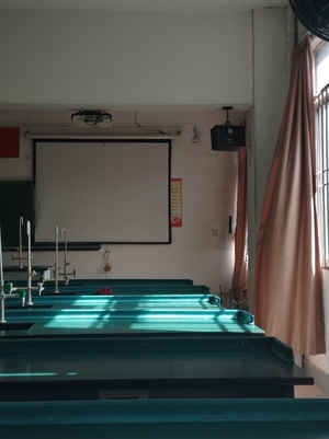 阳光-生活-随手拍-学校-校园 图片素材