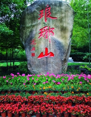 滁州市-自然-风景-田野-夏天 图片素材