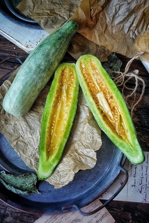 美食摄影-烧卖-玉米-西葫芦-黄瓜 图片素材