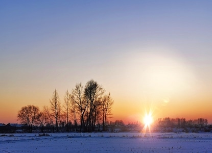 新年好-我的2019-冰雪-树-雪地 图片素材