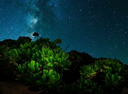 我的2019-旅行-夜景-星空-夜空 图片素材