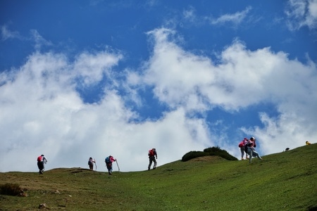 新疆-南山-小渠子-南山-游客 图片素材