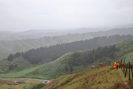 新疆-南山-小渠子-风光-风景 图片素材