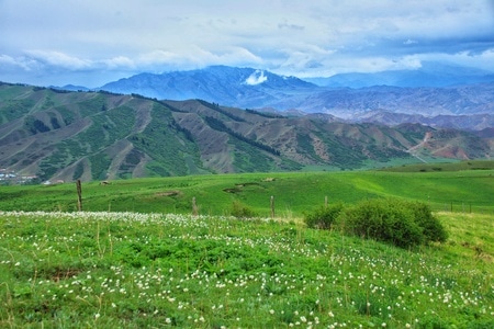 新疆-南山-马鹿沟-风景-风光 图片素材