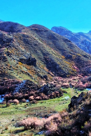 新疆-东天山-户外-风光-风景 图片素材