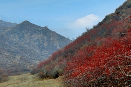 户外-徒步-风景-风光-山楂沟 图片素材