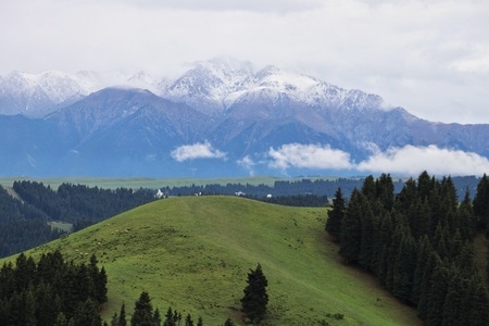新疆-南山-小渠子-风景-风光 图片素材