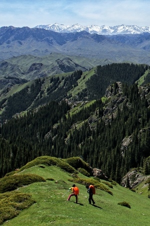 新疆-南山-户外-风光-风景 图片素材