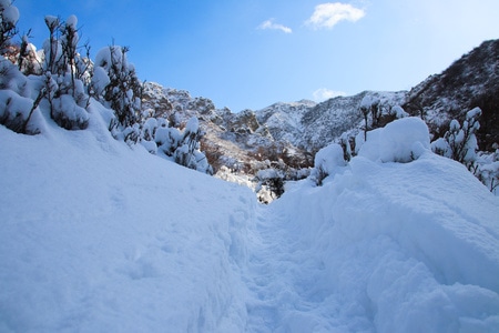新疆-东天山-神龟峡谷-雪-雪地 图片素材