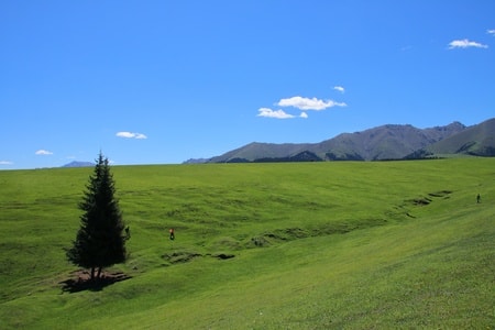 新疆-南山-菊花台-风景-风光 图片素材