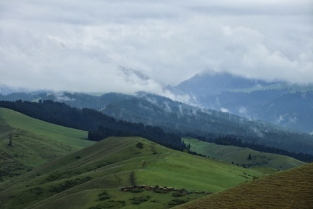 新疆-南山-小渠子-自然-风景 图片素材