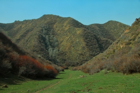 新疆-东天山-户外-山-山峰 图片素材