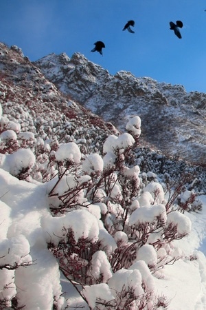 新疆-东天山-神龟峡谷-东天山-山峰 图片素材