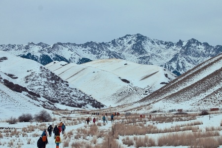 南天山东白杨沟-户外-徒步-南天山东白杨沟-雪景 图片素材