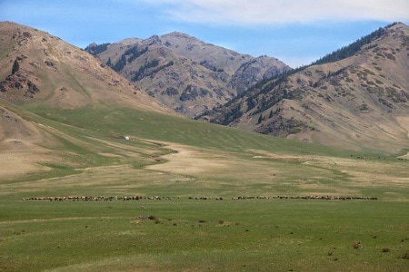 新疆-南山-狼谷-风景-风光 图片素材