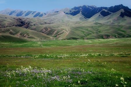 新疆-南山-狼谷-山-山峰 图片素材