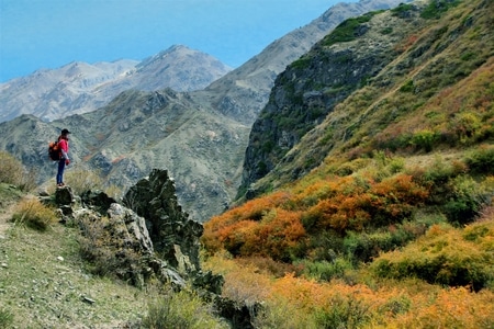 登山-徒步-风景-风光-山 图片素材