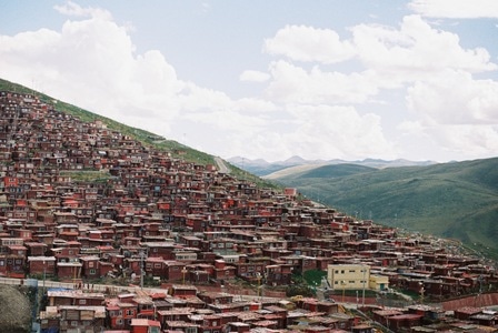 川西-风景-胶片-红房子-村庄 图片素材
