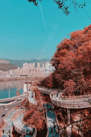年味-古建筑-风景-城市-手机 图片素材