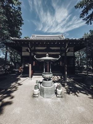 我的2019-写真-城市-手机摄影-手机 图片素材