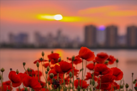 我要上封面-风景-夕阳-看你的城市-城市色彩 图片素材