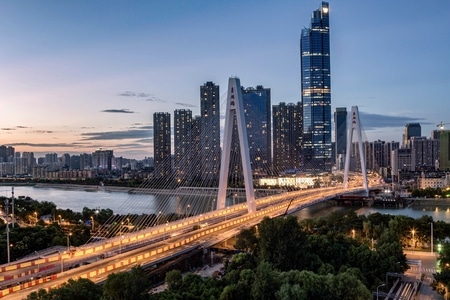 城市天际线-武汉-建筑-桥梁-双子桥 图片素材