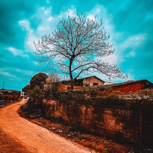 村子-道路-风景-房屋-建筑 图片素材