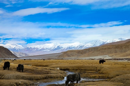 旅游-摄影-户外-风景-风光 图片素材