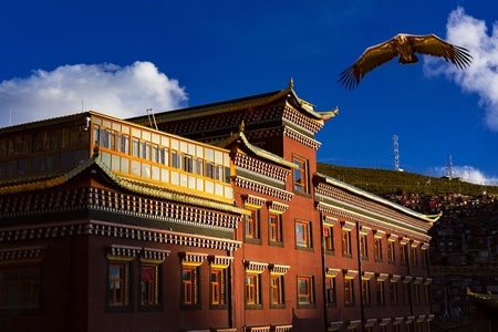 艺术风光-人文-色彩-光影-建筑 图片素材