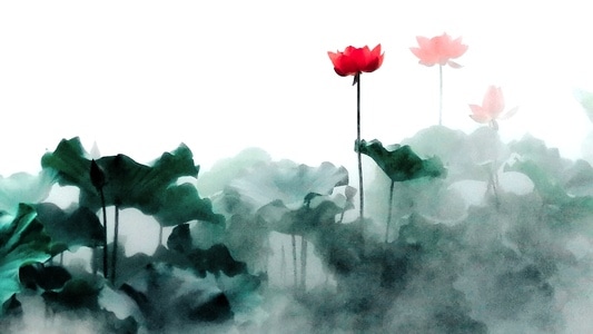 荷花-花草-恭喜-雾-荷花 图片素材