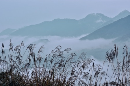 每日一图-山雾-环境-风景-山 图片素材