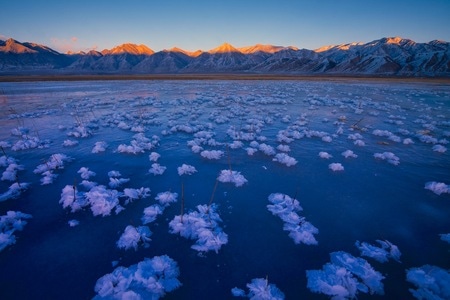 冬季-冰雪-弱光-色彩-草原 图片素材