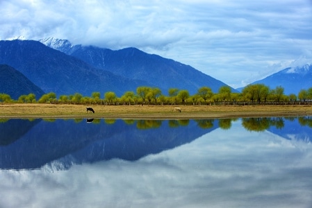 蓝-风光-倒影-西藏-林芝尼洋河畔 图片素材